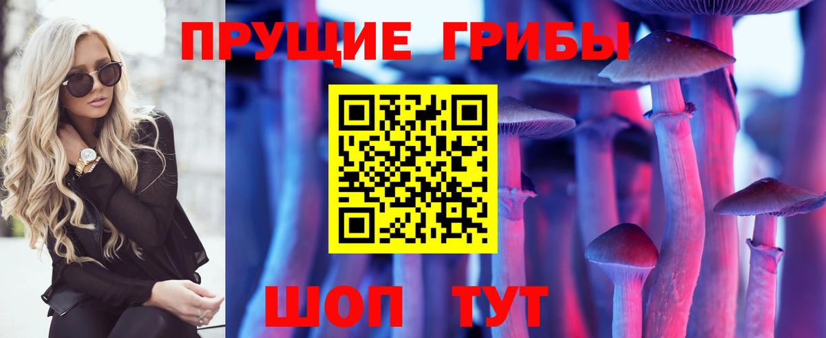 Галлюциногенные грибы прущие грибы  сколько стоит  Саратов  Вход с VPN 